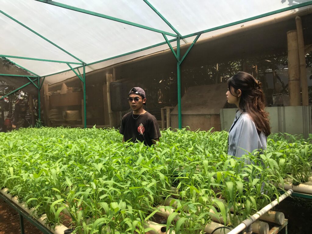 whatsapp image 2025 12 12 at 16.44.27 (2)