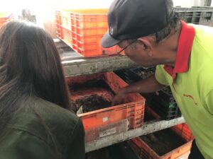 whatsapp image 2026 01 13 at 08.30.24